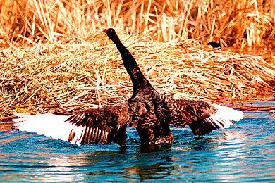 T2老总谈《GTA6》：信任开发团队 并给予充分自由